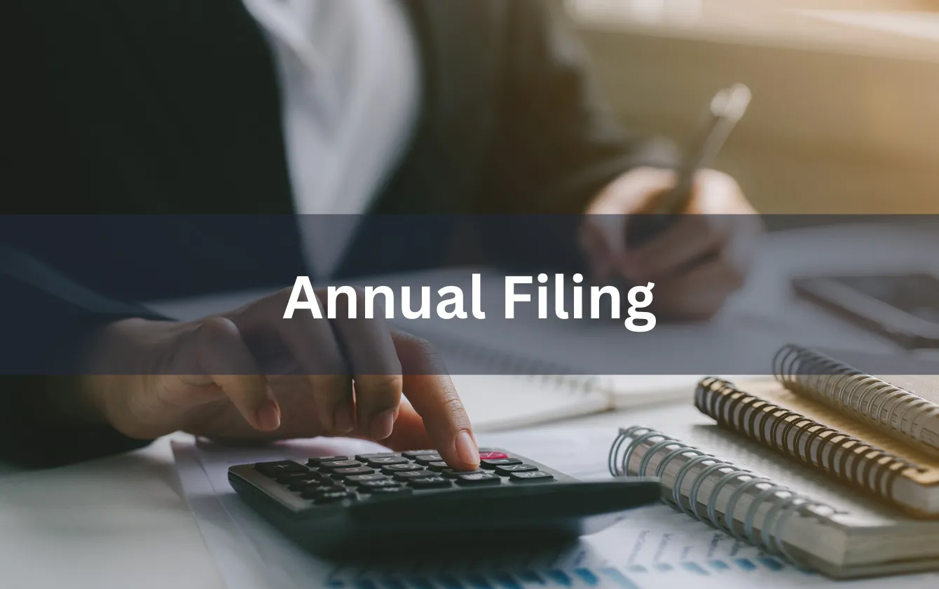 Ongoing Compliance and Annual Filings - Supporting Image